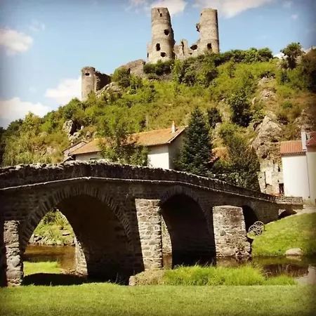 Maison Spacieuse A + Grand Jardin Domeyrat